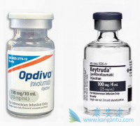 �ո����е�PD-1���Ƽ�Keytruda��ȫ���һ�����׿���ҩ