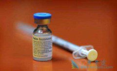 �Űͷΰ�������Ч��Σ��к��ص㣿