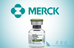 ��PD-1ҩ��Keytruda����Lenvima�����ӹ���Ĥ��������ͻ�����Ʒ�