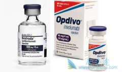 PD-1�������Ƽ�����Keytruda�����й����еļ۸��Ƕ���Ǯ��