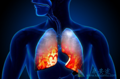 ���ڷ��۰�������Ϊ��ϸ�������Ʒ����ܻ�ӭ��