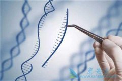 ����ҽ��ȫ�µ�CAR-T�����Ʒ�����׼����ʲô����