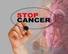 ̽Ѱ����Ϊʲô����ɢ�ĸ���ԭ��