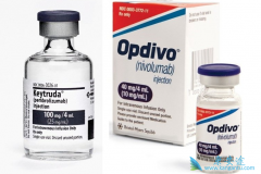 ���߼������Ƽ���PD-1���Ƽ������ڸ�д����������ʷ