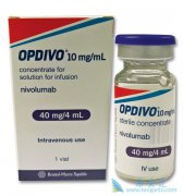 Nivolumab�ѳ�Ϊ�����������͵���Ҫ����ѡ��
