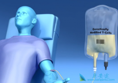 ȫ�����ŵ��Kymriah�뼪����Yescarta������ЩCAR-T�Ʒ���