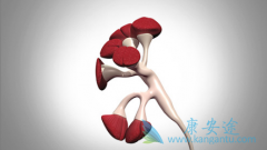 ���޻�(Ristova)���ư������ܲ�ȫ�͵�����ĸ�ΣIgAN���ߵ���Ч