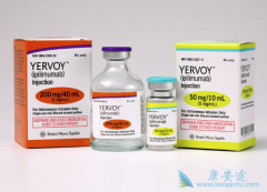 ����������ƥľ�������ư�֢���·���