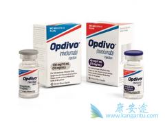 PD-1���������봫ͳ����ҩ������������