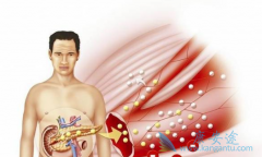 ���ٰ����߷������޿�(GRLONAT)�ļ�����ΰ���ͬ