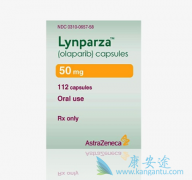 ����������PARP���Ƽ���ǰ���ٰ���������Ч����ô����