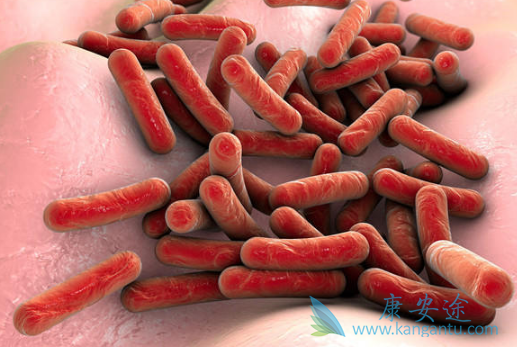 肝癌治疗 肝癌治疗