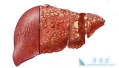 �ΰ������ܻ�������Щ��Ҫ�����й�