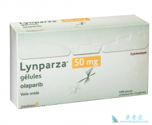 PARP���Ƽ���һ�����͵��ѳ������ư���ҩ��