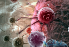 CAR-T�Ʒ�KTE-C19��������Bϸ���ܰ��������б��ֳ��Ϻõ��ٴ�����