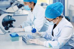 �ΰ�����ҩɫ������Ӧ�ñ�������Щҩ��ͬ����