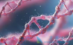 �԰�������(AFATINIB)��ҩ�Ļ������ж�������T790Mͻ��