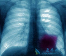 �ΰ��������Ԥ�����������Ͳ����Ƶ���Ч�ò���