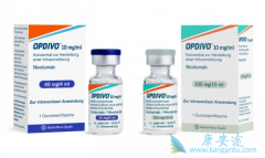 PD-1����ҩ���ܷ���ǿ����Tϸ���ÿ���������