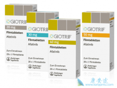 �󲿷ֵ�EGFR-TKI��ҩ��T790M����ͻ���й�