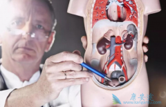 ����³����ҩ���ܷ����ϰ�������(ABIRATERONE)����ǰ���ٰ�