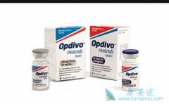 ����ʹ��PD-1���Ƽ�����ǰ��Ҫ�������ͻ�为����