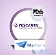 CAR-T�Ʒ�����ѪҺϵͳ��������������Ч�ʸߴ�80%����