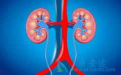 ������������/��̹�������߻���Ҫ���м��������г�������