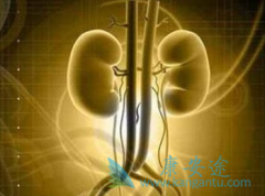 ���ض�ת������������һ�߿���ֱ��ʹ����������(SUNITINIB)����