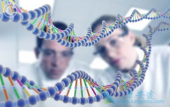 ���������û����Ʒ��ܹ���������ɭ�ۺ�����