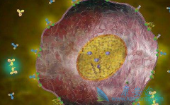 ����̩(Pemetrexed)�����ϰ�ɳ���������������ٰ���