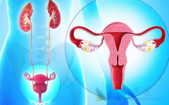 �ѳ���ҩ���������(Lynparza)�з���ҩ��