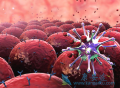 ��������(crizalk)��ҩ����ᰬ���������ӳ�������������