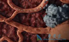 TDF����ЧԤ�����޻�(Rituximab)�����ڼ仼��HBV�������ټ���