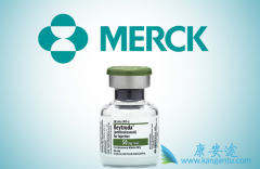 ���ڷ��ô������صİ�֢����ʹ��PD-1��������Ч�����ۿ�