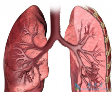 ���ٰ������ÿ����������Ƽ��������ʿ��Դﵽ���٣�