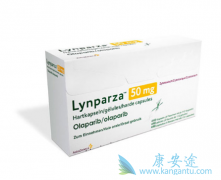 �׸�PARP���Ƽ����������ڻ��������ѳ��� ��Ϊ�ҹ��ѳ��׸�����ҩ