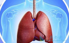 �ΰ��������κ��𣿲�ͬ�������Ʒ����кβ�ͬ��