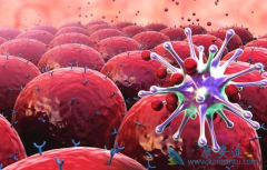 C797Sͻ�䵼�µİ�ϣ����(AZD9291)��ҩ����ô����