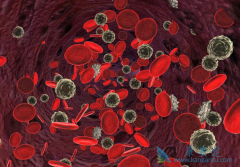 ����Ӧ��η����컷��ҩ���ڰ�Ѫ�������еĲ�����Ӧ