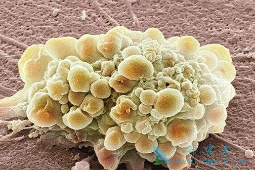 �����鵥��