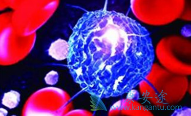 ��³����