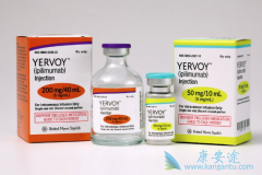 CTLA-4�����PD-1������ʲô����ʲô��CTLA-4���壿