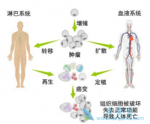 ����ϸ���������ܽ��ۺ������������