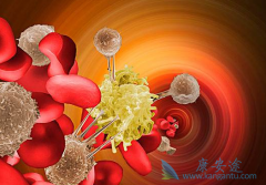 ��άĪ˾(Everolimus)���������͵����ڷ�����������Ч