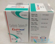 ���ڷΰ�������������������(GEFITINIB)���ƻ���ȱ�׼�Ʒ���
