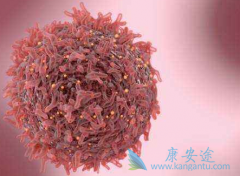 ����������(IBRANCE)��������75mg/��ʱ���ٰ�������ͣҩ