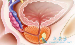 �и��𺦵�ǰ���ٰ�������Ҫ�����ȿ�³����ʿ�õļ�����