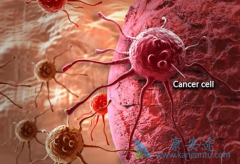 RET�е����Ƽ�BLU-667��LOXO-292�ĶԱ�