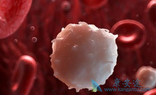 ��������Ӧ֢